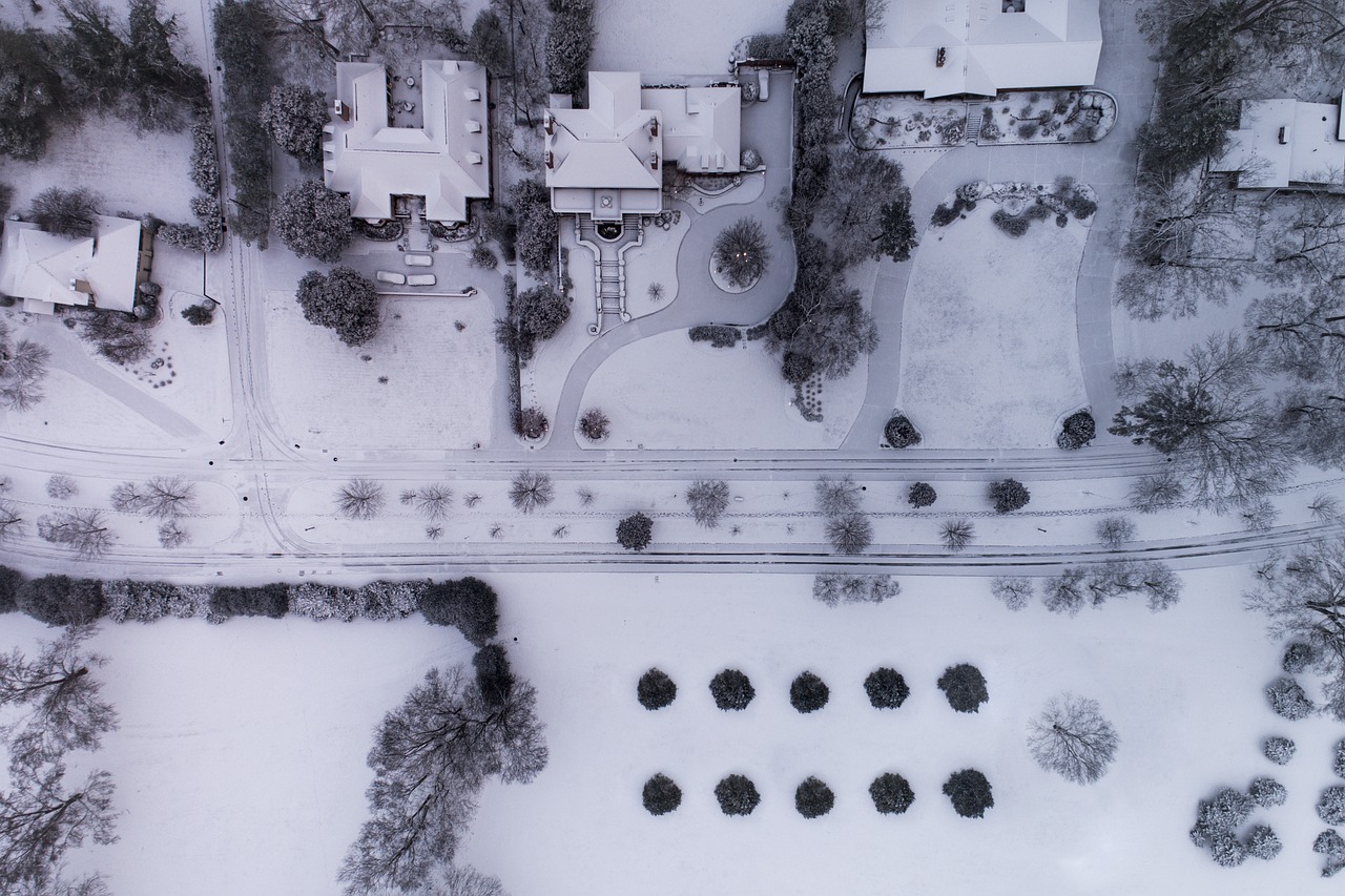 The Role of Architecture in Disaster Planning